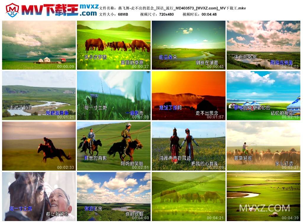 燕飞舞-走不出的思念_国语_流行_MD403573